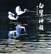 白鹭神韵  张斌生摄影集  1 电子书封面