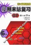 小学期末总复习  语文  六年级  下 封面