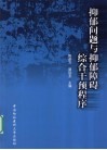 抑郁问题与抑郁障碍综合干预程序 封面
