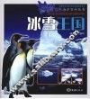 冰雪王国 封面