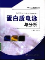 蛋白质电泳与分析 封面