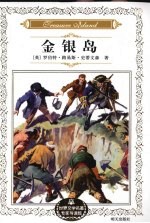 金银岛 封面