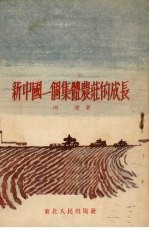 新中国一个集体庄的成长 封面