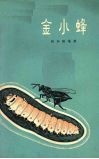 金小蜂 封面