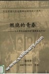 燃烧的青春  一个大学生志愿军的“朝鲜战地手记” 封面