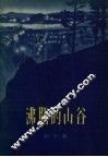 沸腾的山谷 封面