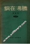 钢在沸腾  散文集 电子书封面