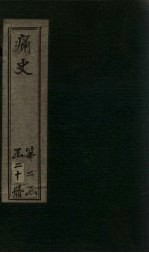 痛史  第十三种  启祯记闻录  2 封面