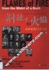 荆棘中的火焰  欧洲新教15名人传 封面