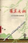 雏燕展翅  上山下乡知识青年先进事迹选 封面
