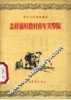 怎样搞好农村青年突击队 封面