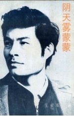 阴天，雾蒙蒙 封面