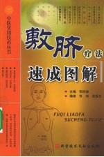 敷脐疗法速成图解 封面