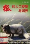 狐的人工受精与饲养 封面