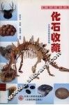 化石收藏 封面