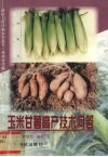 玉米甘薯高产技术问答 封面