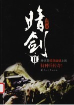 暗剑  2 封面