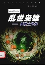 乱世枭雄  摩根土丹利 封面