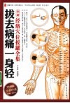 拔去病痛一身轻  图解经络穴位拔罐全集 封面