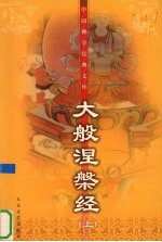 大般涅盘经  上  珍藏版 封面