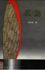 沉剑 封面