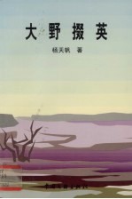 大野掇英 封面