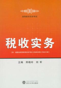 税收实务 封面
