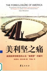 美利坚之痛 封面