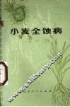 小麦全蚀病 封面