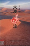 大漠风流 封面