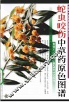 蛇虫咬伤中草药原色图谱 封面