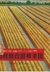 怎样修台田和条田 封面
