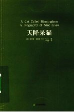 天降呆猫 封面