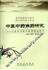 中医中药角药研究  名医名方验方组药配伍技巧 封面