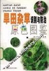 旱田杂草识别与防治原色图鉴 封面
