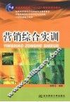 营销综合实训 封面