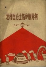 怎样医治土高炉“肠胃病” 封面