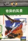 奇异的风景 封面