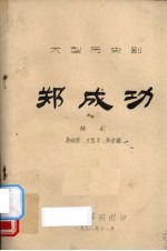 郑成功  大型历史剧 封面