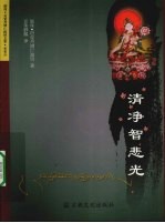 清净智悲光 封面