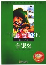 金银岛 封面