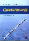 岭南视听研究  2009年  1 封面