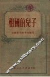 祖国的儿子  志愿军中的青年团员 封面