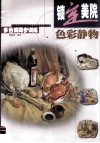 色彩静物  多色调同步训练 封面