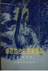 模范的治安保卫委员 封面