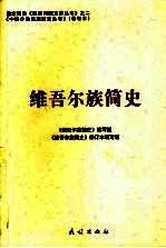 维吾尔族简史 封面