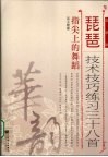 琵琶中级技术技巧练习三十八首  指尖上的舞蹈  简谱版 封面