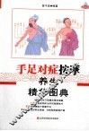 手足对症按摩养生精华图典 封面