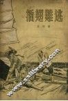 插翅难逃 封面