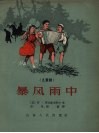 暴风雨中  儿童剧 封面